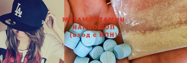 гидра Богданович