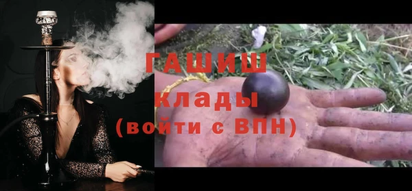 гидра Богданович