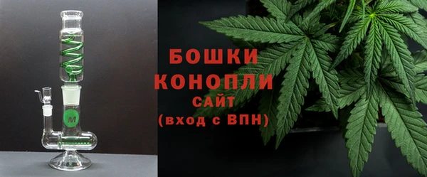 гидра Богданович