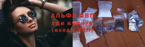 гидра Богданович