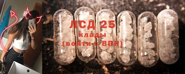 гидра Богданович
