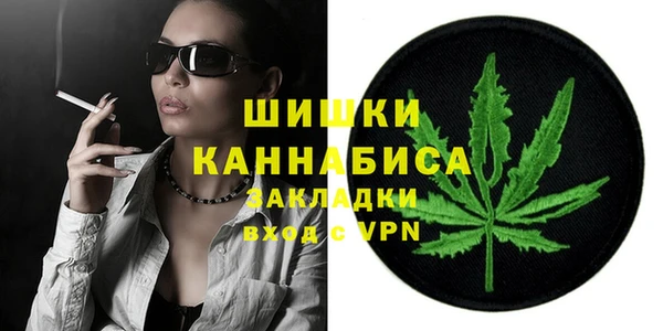 гидра Богданович