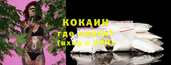 гидра Богданович